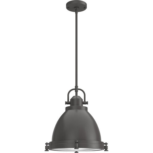 Bridgemoor 2 Light 14 inch Noble Bronze Pendant Ceiling Light