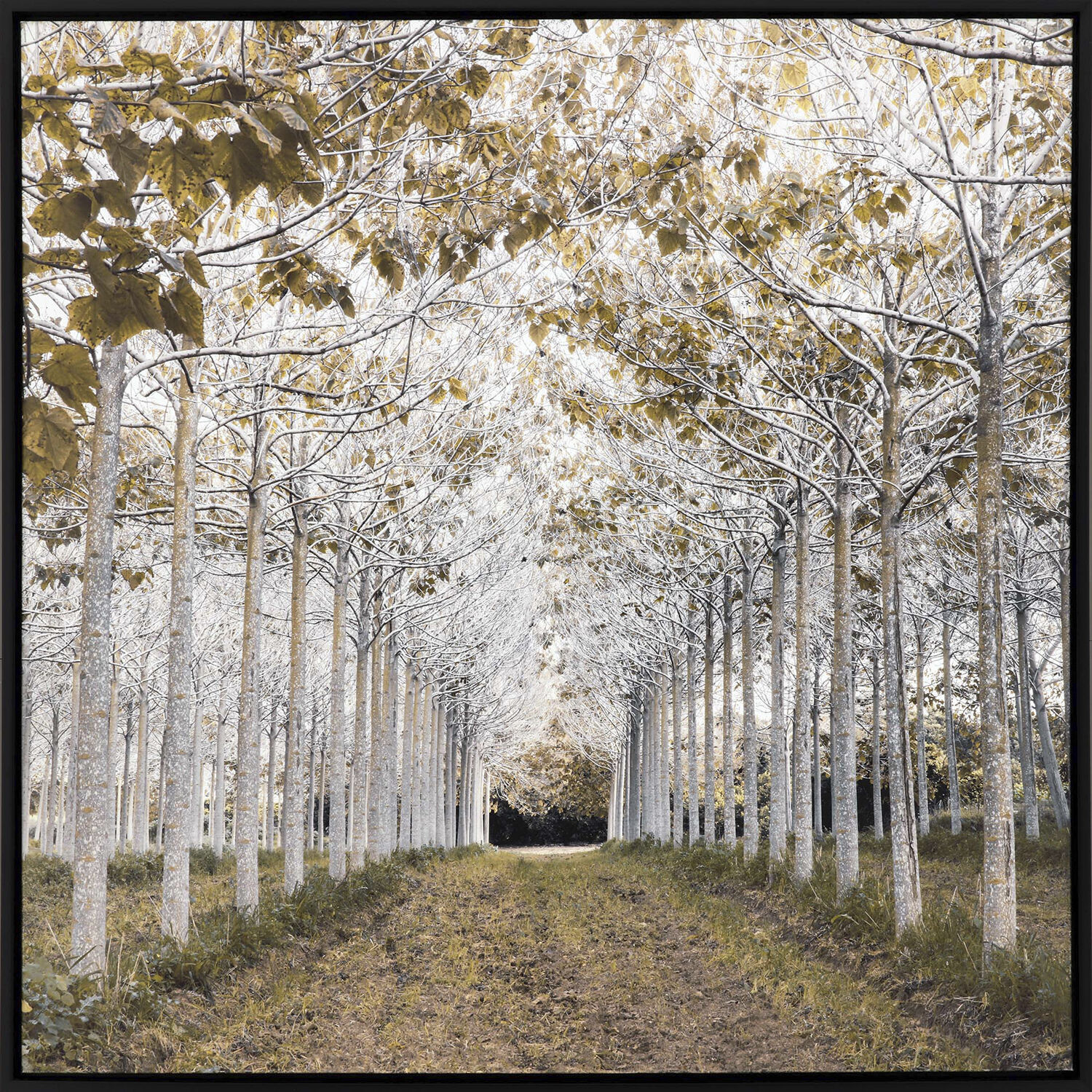 White Gold White and Green and Yellow and Neutral Canvas