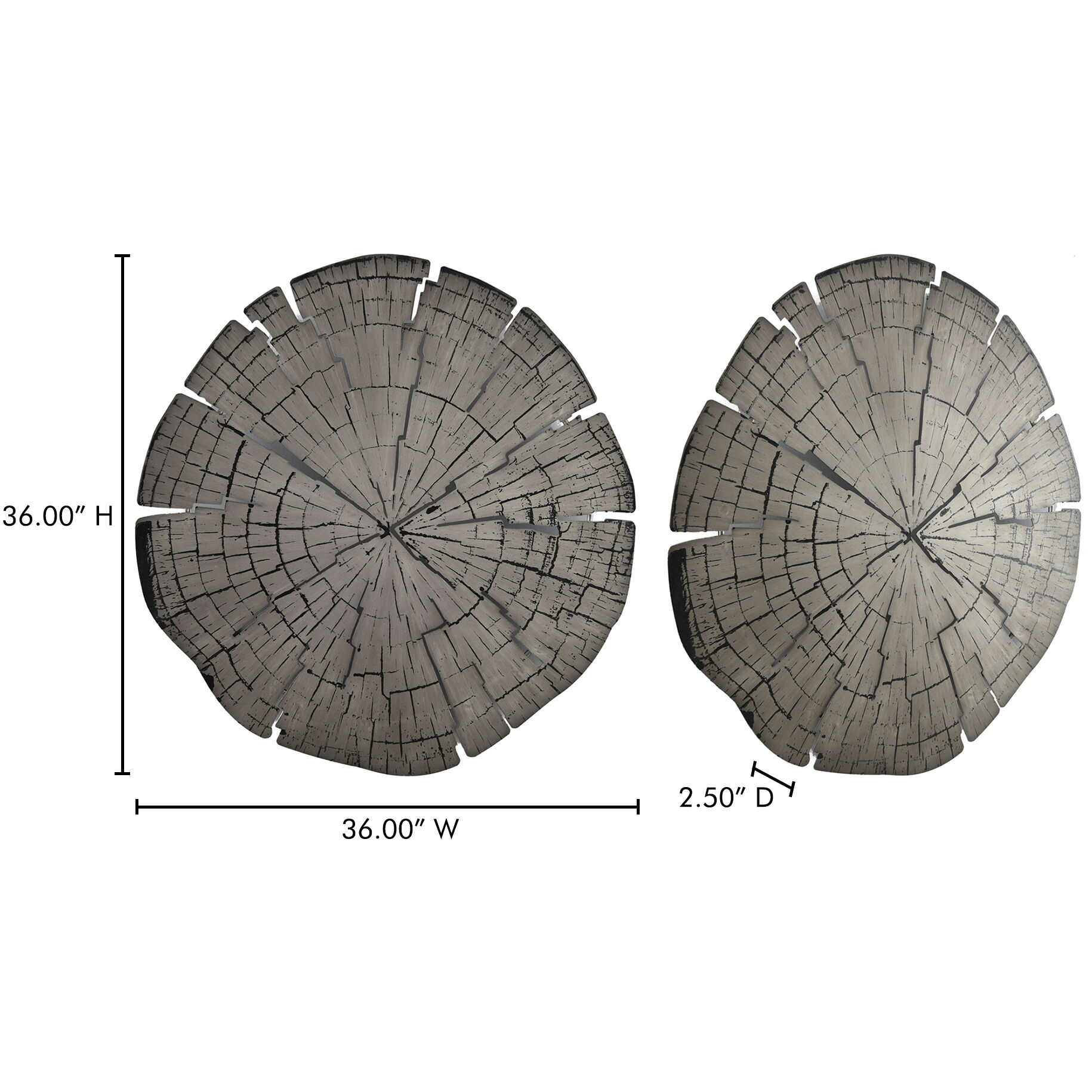 Rings Silver Wall Décor