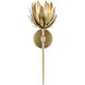Protea 1 Light 6.75 inch Brass Wall Sconce Wall Light