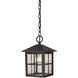 Shaker Heights 1 Light 7 inch Hazelnut Bronze Outdoor Pendant