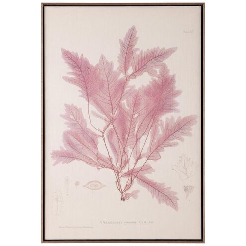 Henry Bradbury's Ocean Gardens Giclees, Delesseria