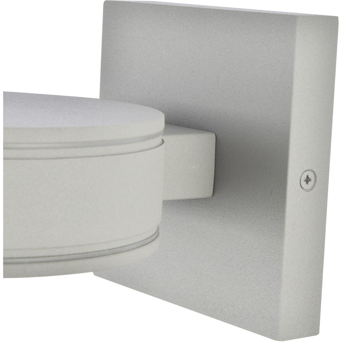Raine 4.5 inch Silver Outdoor Wall Light