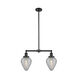 Franklin Restoration Geneseo 2 Light 21 inch Oil Rubbed Bronze Chandelier Ceiling Light, Franklin Restoration