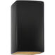 Ambiance LED 13.5 inch Carbon Matte Black and Champagne Gold Outdoor Wall Sconce in 1000 Lm LED, Carbon Matte Black/Champange Gold