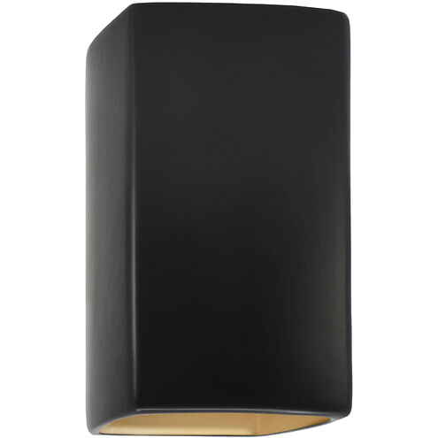 Ambiance LED 13.5 inch Carbon Matte Black and Champagne Gold Outdoor Wall Sconce in 1000 Lm LED, Carbon Matte Black/Champange Gold