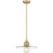 Paloma 1 Light 14.00 inch Pendant