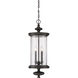 Palmer 4 Light 12.5 inch Walnut Patina Outdoor Hanging Lantern