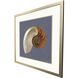 Coastal Delight / Ocean Treasure Blue and Beige and Brown Framed Art