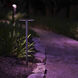 Tiki 12 12 watt Bronze Path and Area Light, Colorscaping