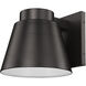 Asher LED 11 inch Oil Rubbed Bronze Outdoor Wall Light