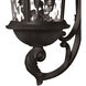 Estate Series Windsor LED 26 inch Black Outdoor Wall Mount Lantern, Medium