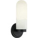 Capsula 1 Light 4.75 inch Matte Black Wall Sconce Wall Light
