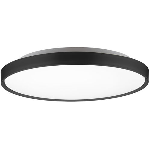 Brunswick 21.13 inch Black Flush Mount Ceiling Light