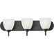 Axis 3 Light 24 inch Black Bath Vanity Wall Light