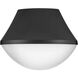 Haddie LED 11 inch Black Foyer Light Ceiling Light, Flush Mount