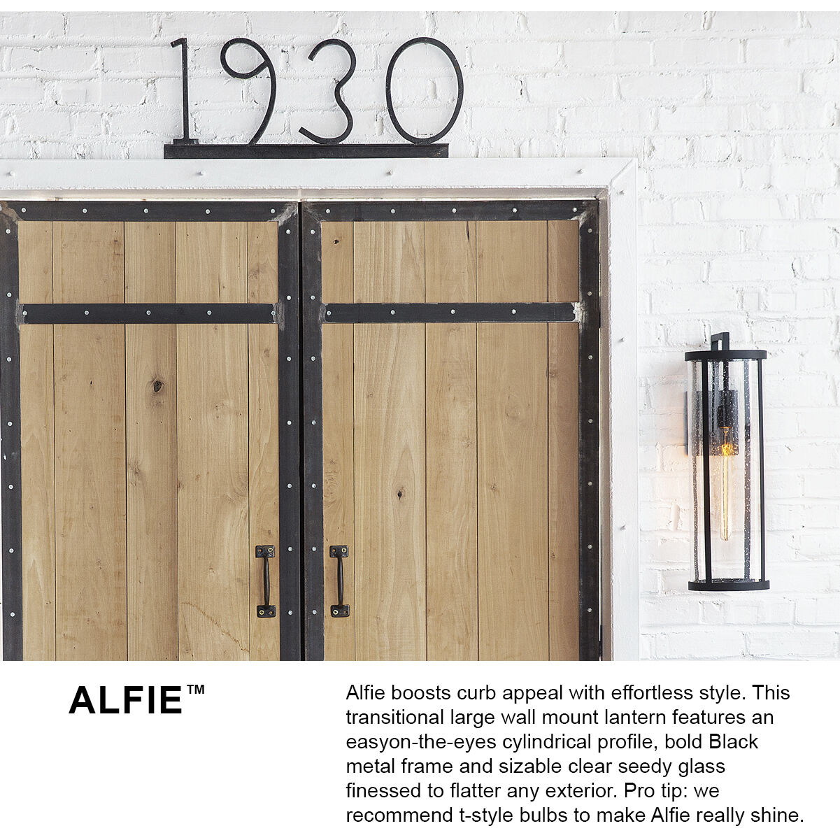 Alfie LED 18 inch Black Outdoor Wall Mount