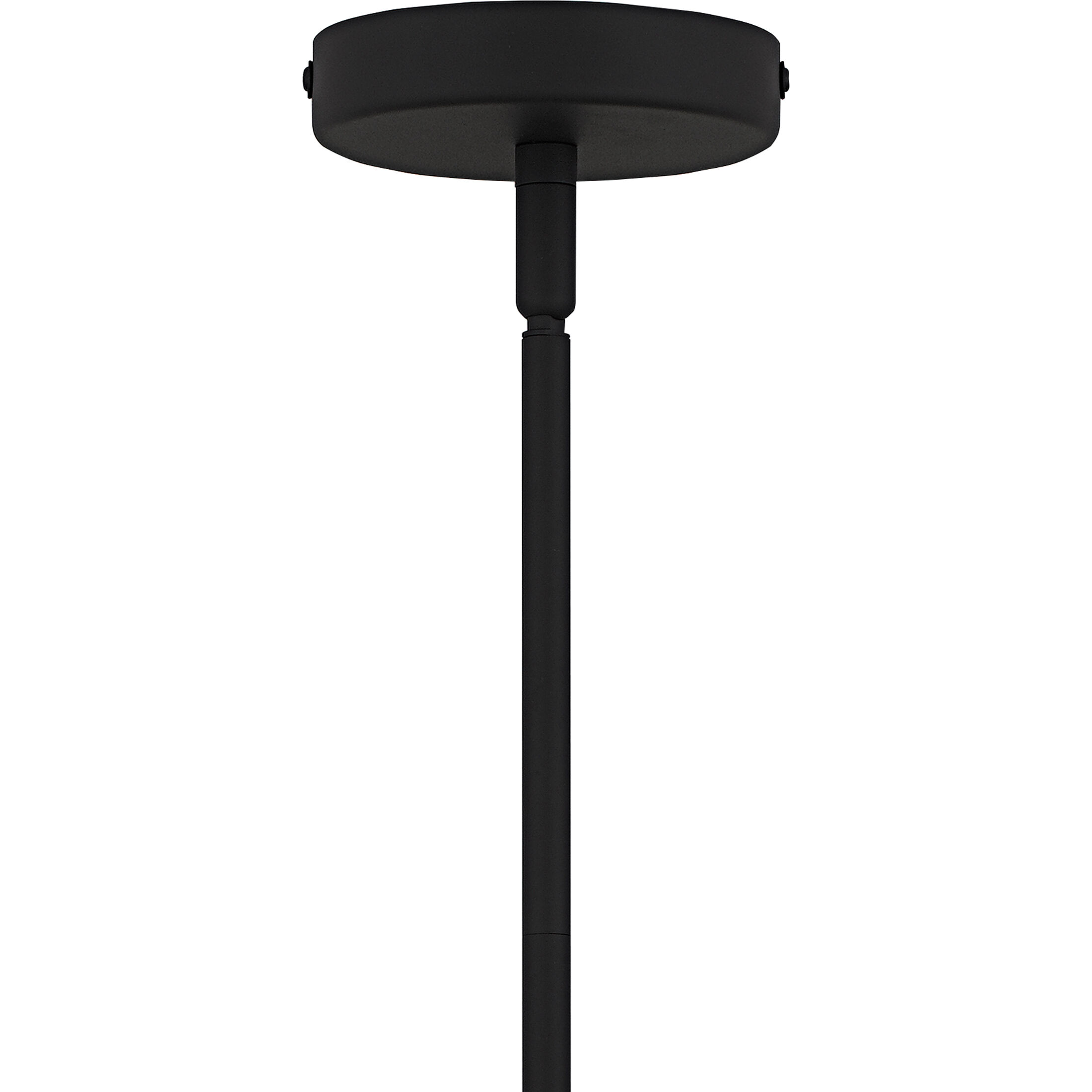 Salvador 9 Light 30 inch Earth Black Chandelier Ceiling Light