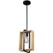 Perris LED 8 inch Black Pendant Ceiling Light