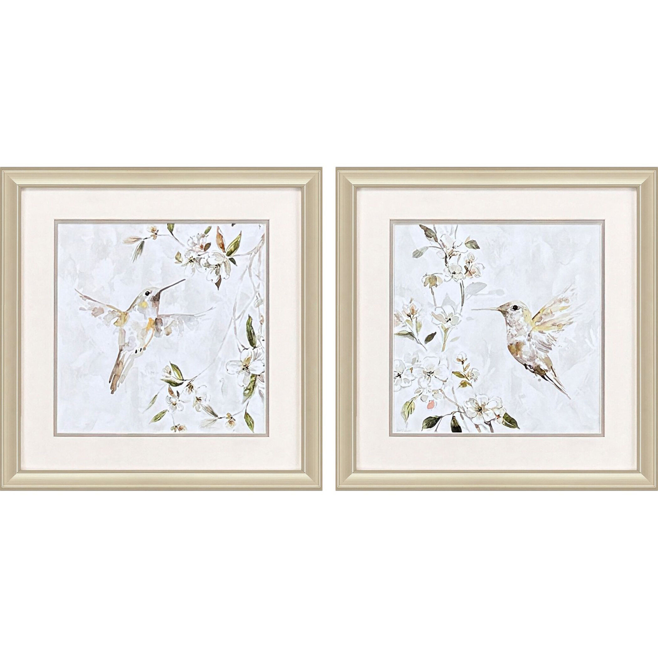 Hummingbird Song White and Green and Pink and Multi Framed Art, Propac