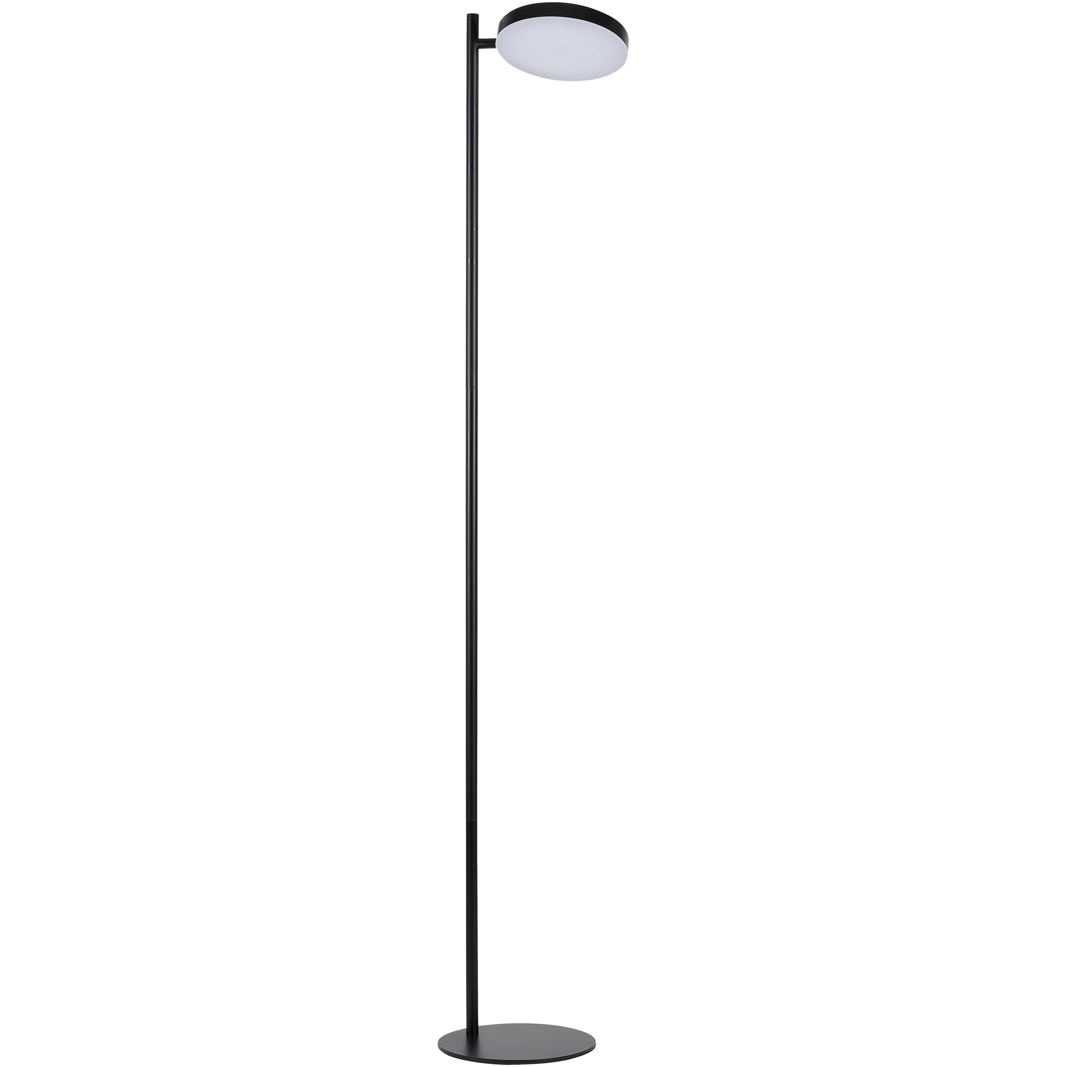 Fia 60.5 inch 30.00 watt Matte Black Floor Lamp Portable Light