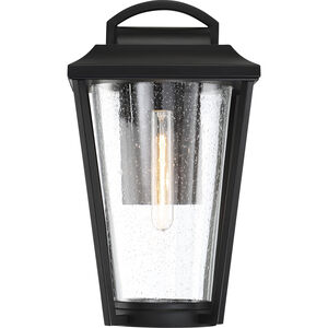 Lakeview 1 Light 16 inch Aged Bronze and Clear Outdoor Wall Mount