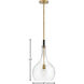 Ziggy 1 Light 12 inch Heritage Brass with Black Indoor Pendant Ceiling Light in Clear