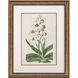 Florals Collection Green Framed Art