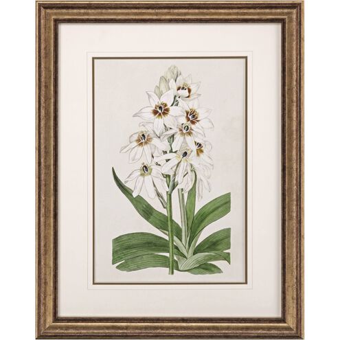 Florals Collection Green Framed Art