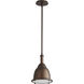 Ruvo 1 Light 10.5 inch Oiled Bronze Pendant Ceiling Light