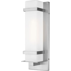 Alban 1 Light 14 inch Satin Aluminum Outdoor Wall Lantern, Small