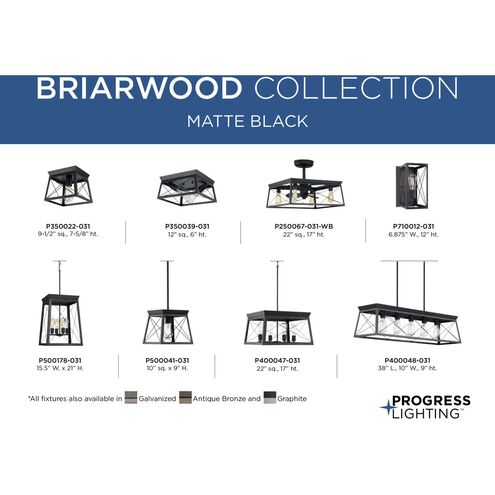 Briarwood 22 inch Matte Black Fandelier