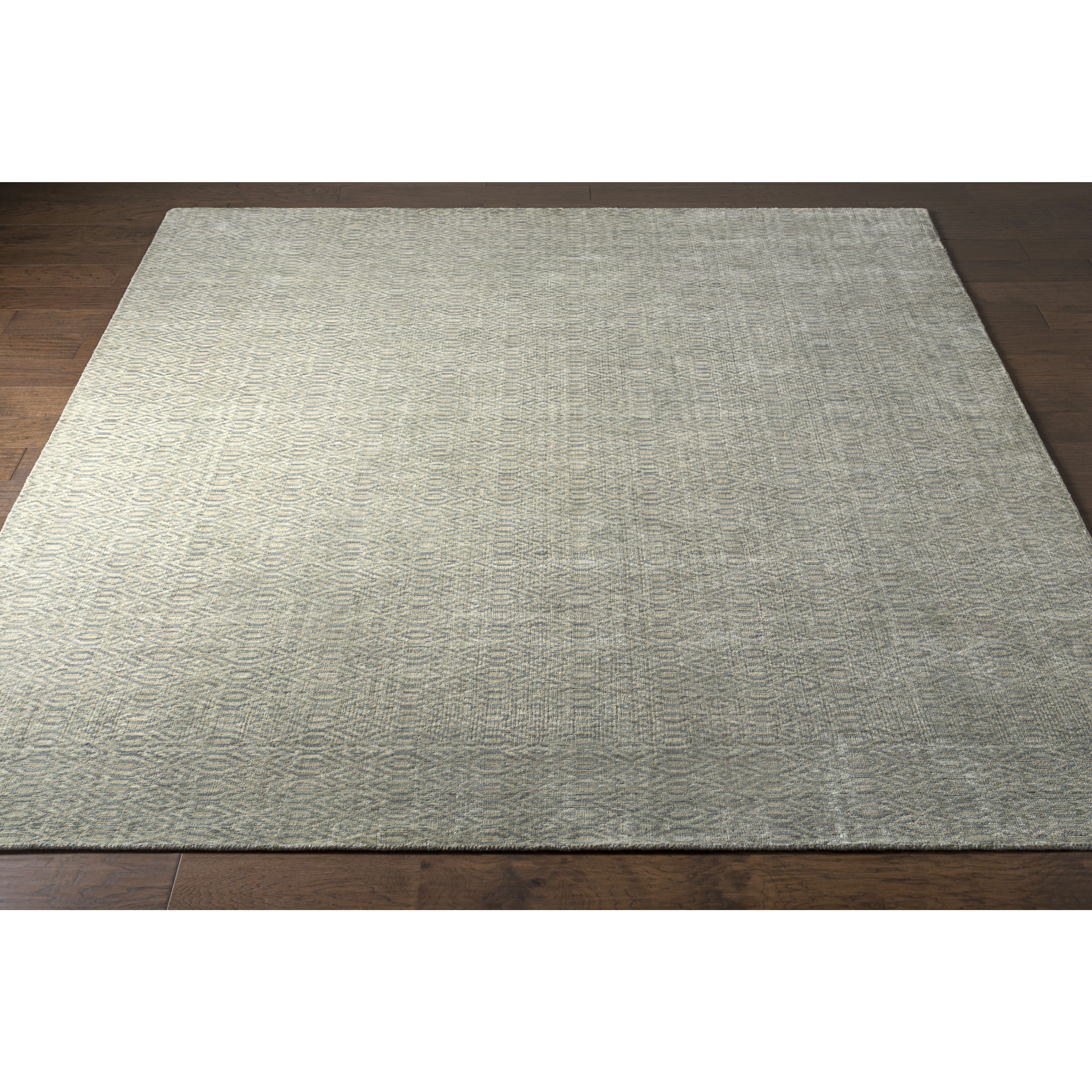 Astara 36 X 24 inch Medium Gray Rug in 2 x 3, Rectangle