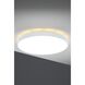 Jazz LED 24 inch White Flush Mount Ceiling Light