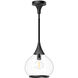 Alora Mood Hazel 1 Light 10.13 inch Matte Black Pendant Ceiling Light in Clear