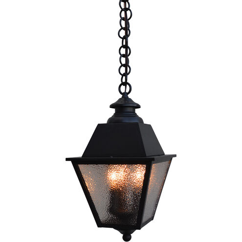 Inverness 3 Light 8 inch Satin Black Pendant Ceiling Light in Clear Seedy