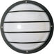 Brentwood 1 Light 4.00 inch Outdoor Wall Light