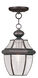 Monterey 1 Light 8.5 inch Bronze Outdoor Pendant Lantern