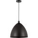 Edison Dome LED 16 inch Matte Black Mini Pendant Ceiling Light