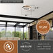Everette 20 inch Matte Black with Clear Blades Ceiling Fan, DC Motor