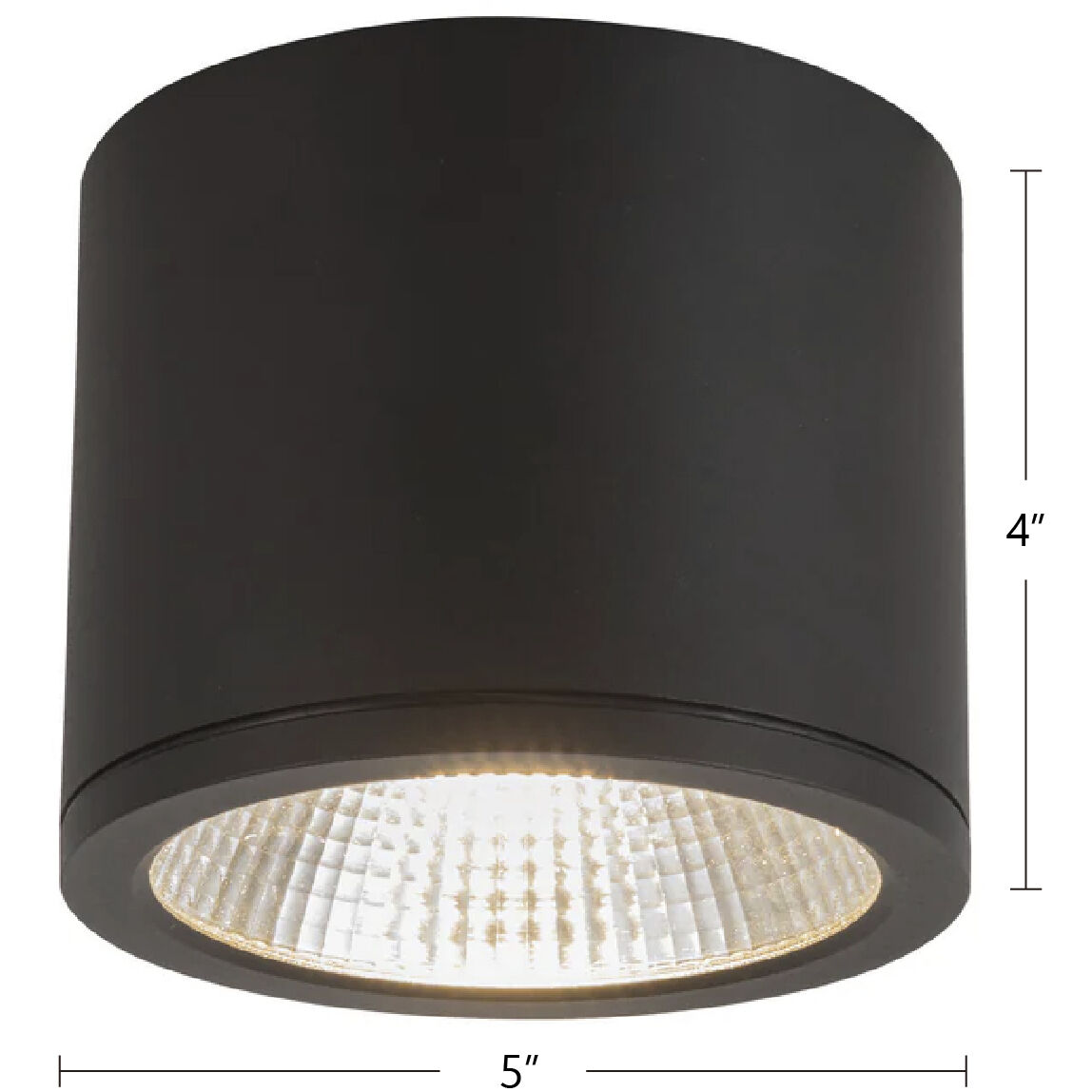 Nordic LED 5 inch Black Exterior Ceiling