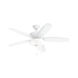 Renew Select 52.00 inch Indoor Ceiling Fan
