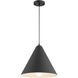 Ford 1 Light 14.25 inch Matte Black Pendant Ceiling Light