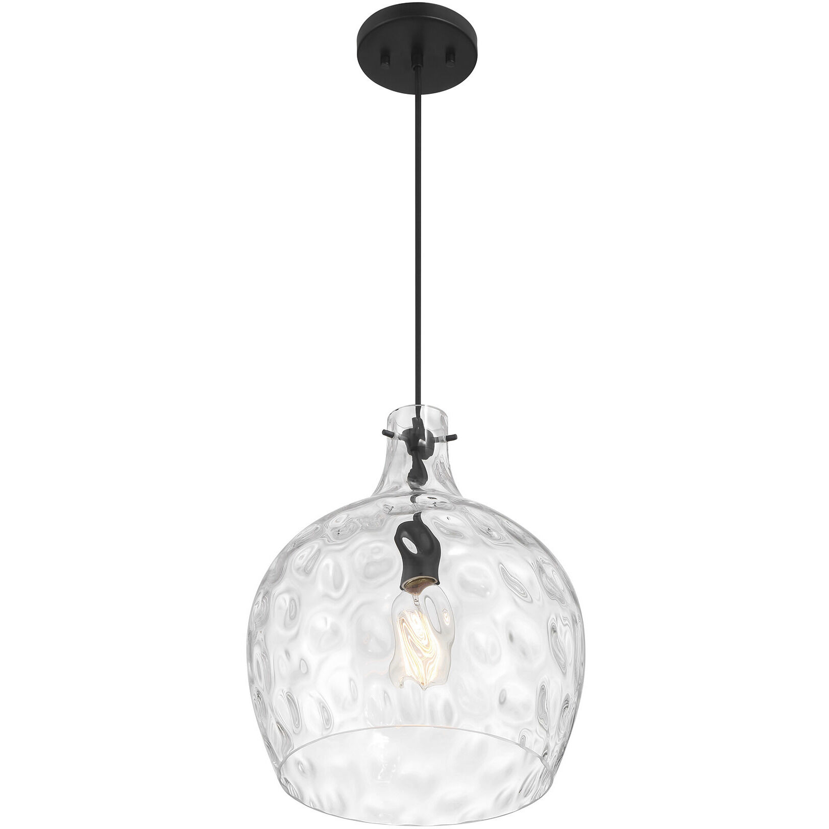 Coastal 1 Light 12.75 inch Matte Black Pendant Ceiling Light