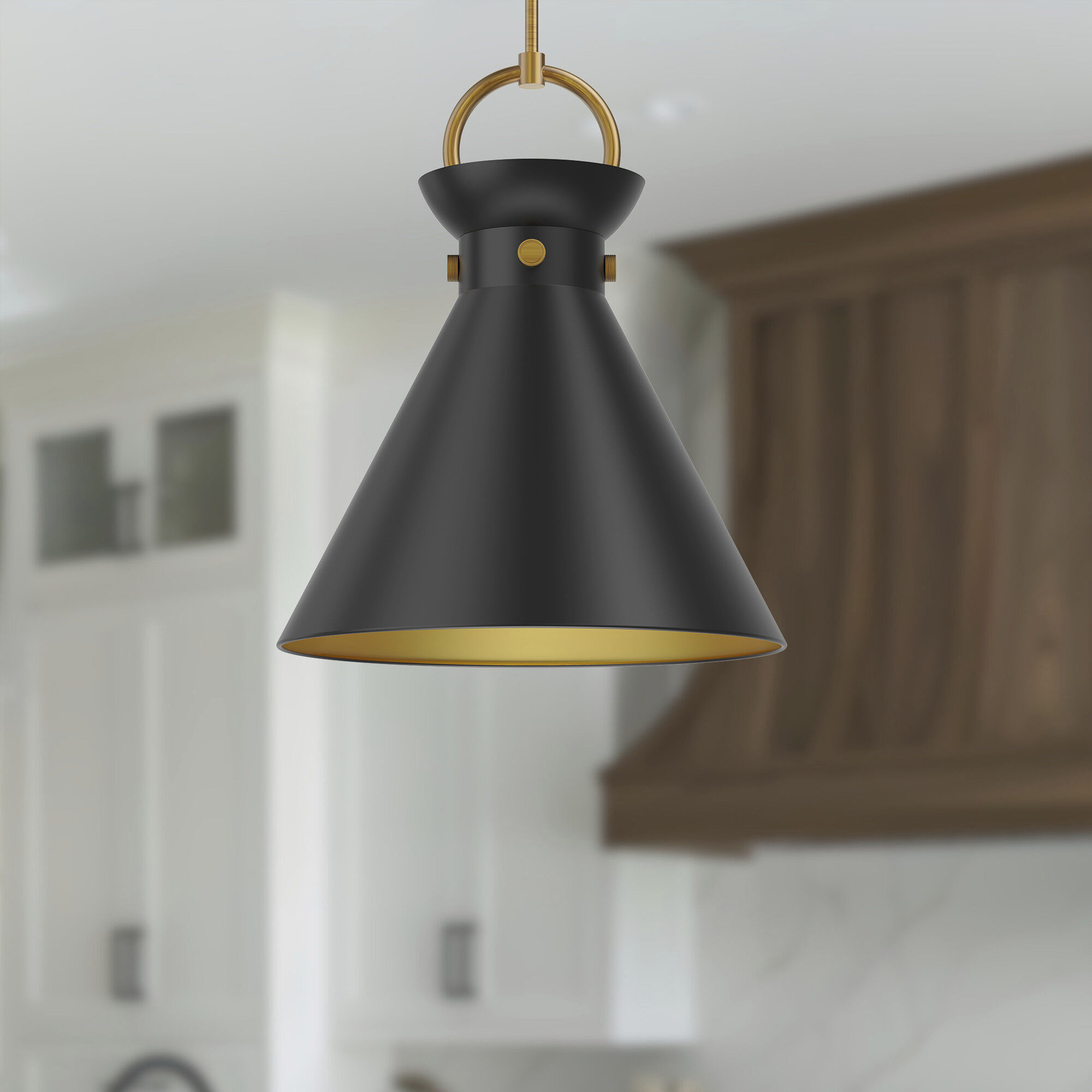 Alora Mood Emerson Pendant Ceiling Light in Aged Gold and Matte Black