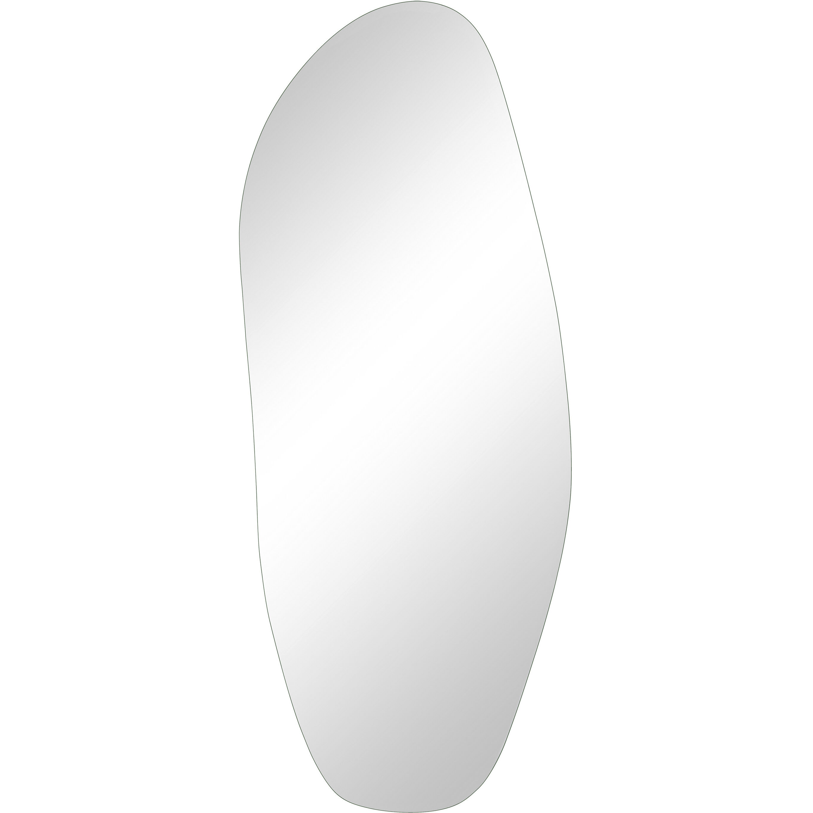Erice 65 X 25.5 inch Grey Wall Mirror