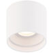 Downtown 1 Light 5.00 inch Flush Mount
