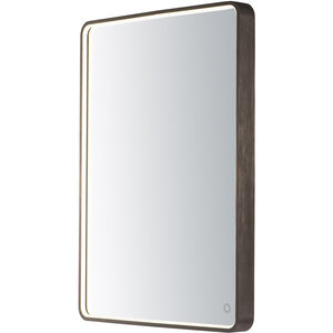 Mirror 31.5 X 23.75 inch Anodized Bronze LED Wall Mirror