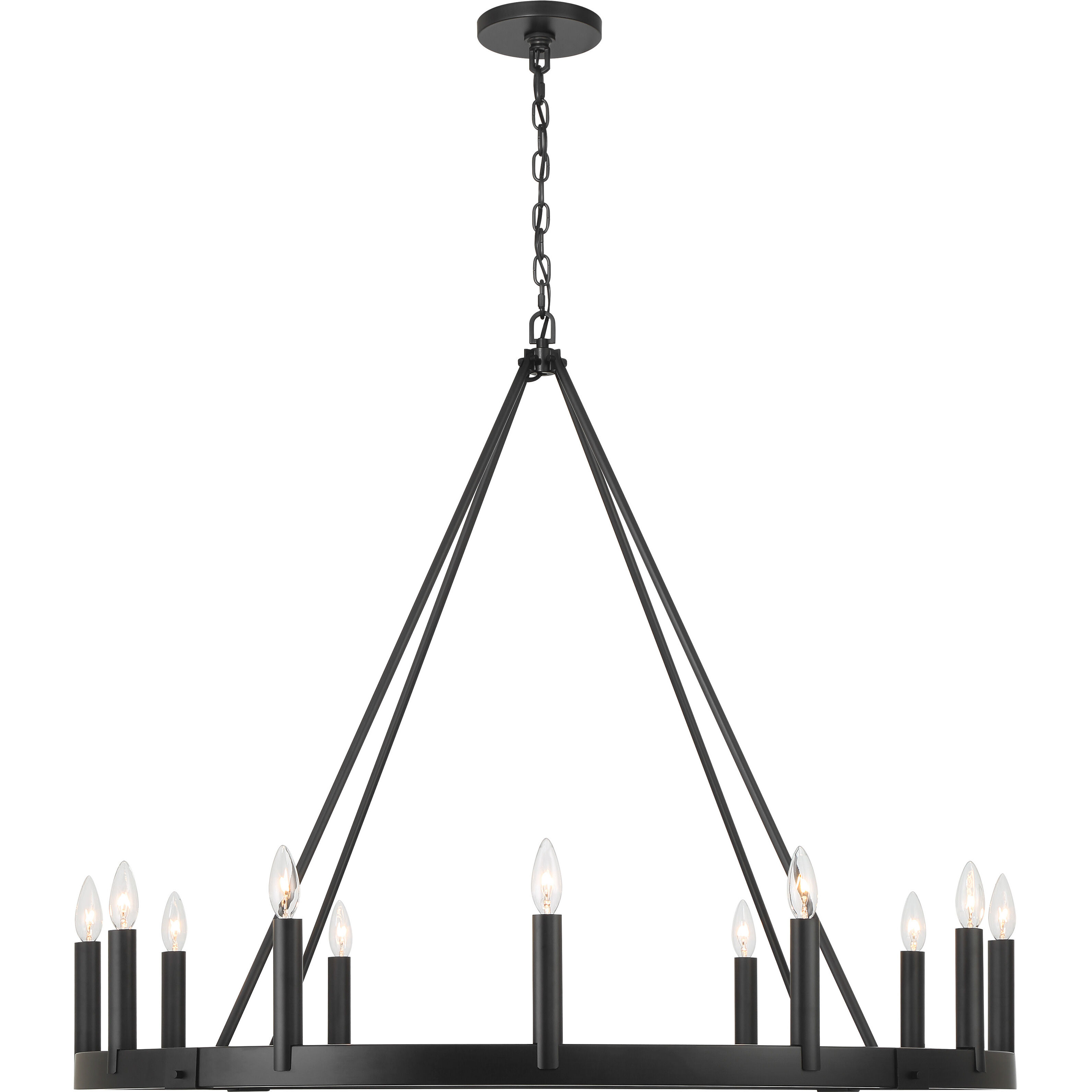 Dutton 12 Light 42.5 inch Coal Black Chandelier Ceiling Light