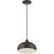 Domma 1 Light 10 inch English Bronze with Antique Brass Accents Pendant Ceiling Light